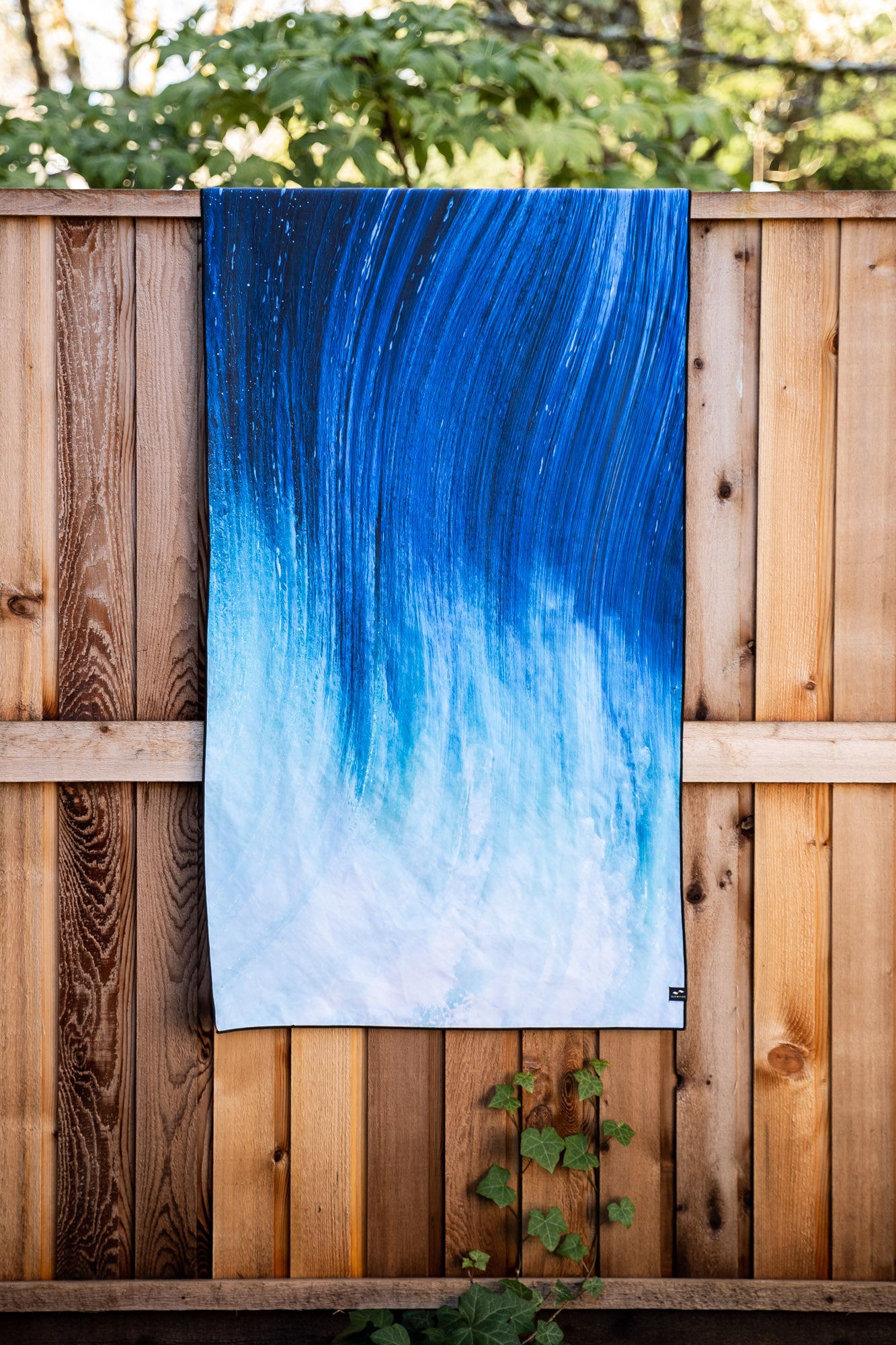 2020 Creative Canvas Winner: Marcus Paladino