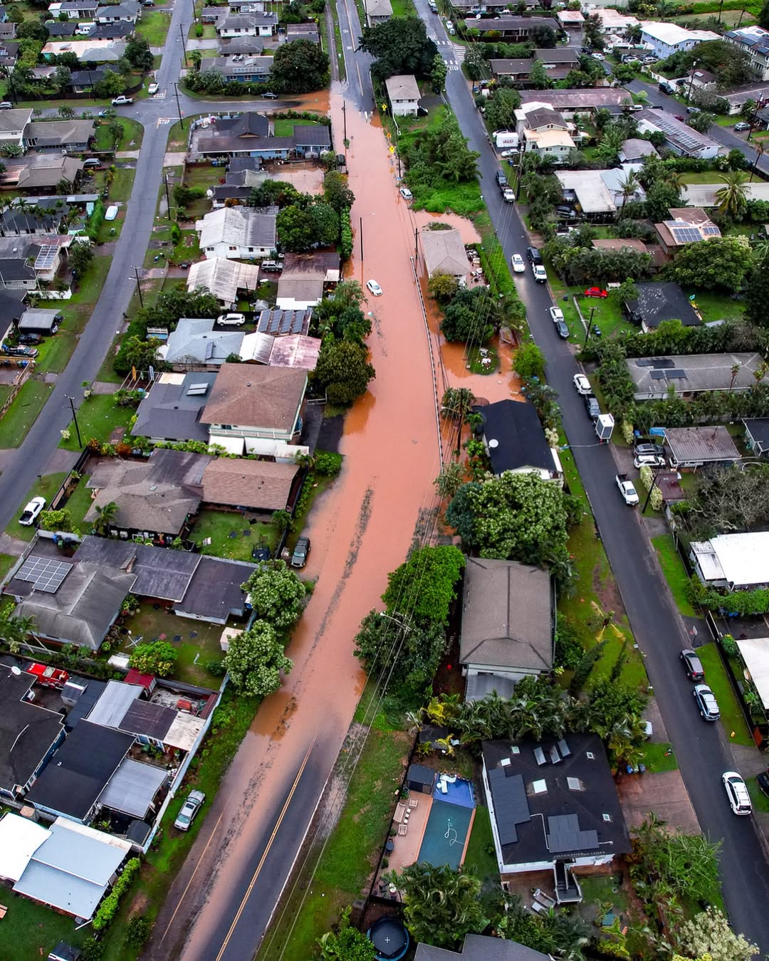 In Collaboration with Sig Zane & Florence Marine X