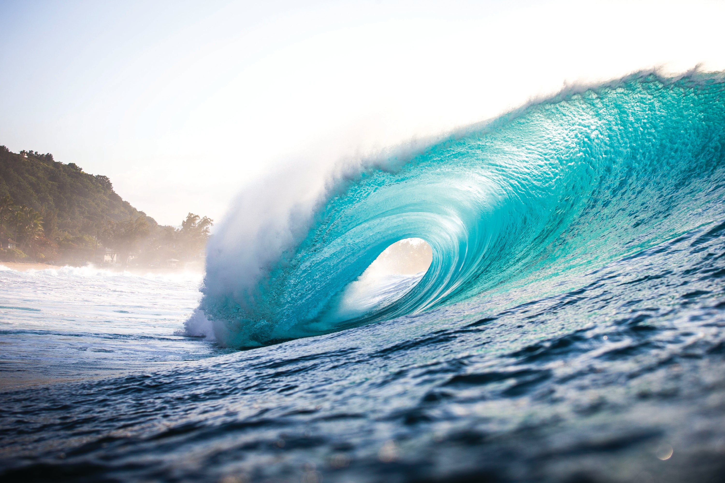 Paradise Found by Brent Bielmann