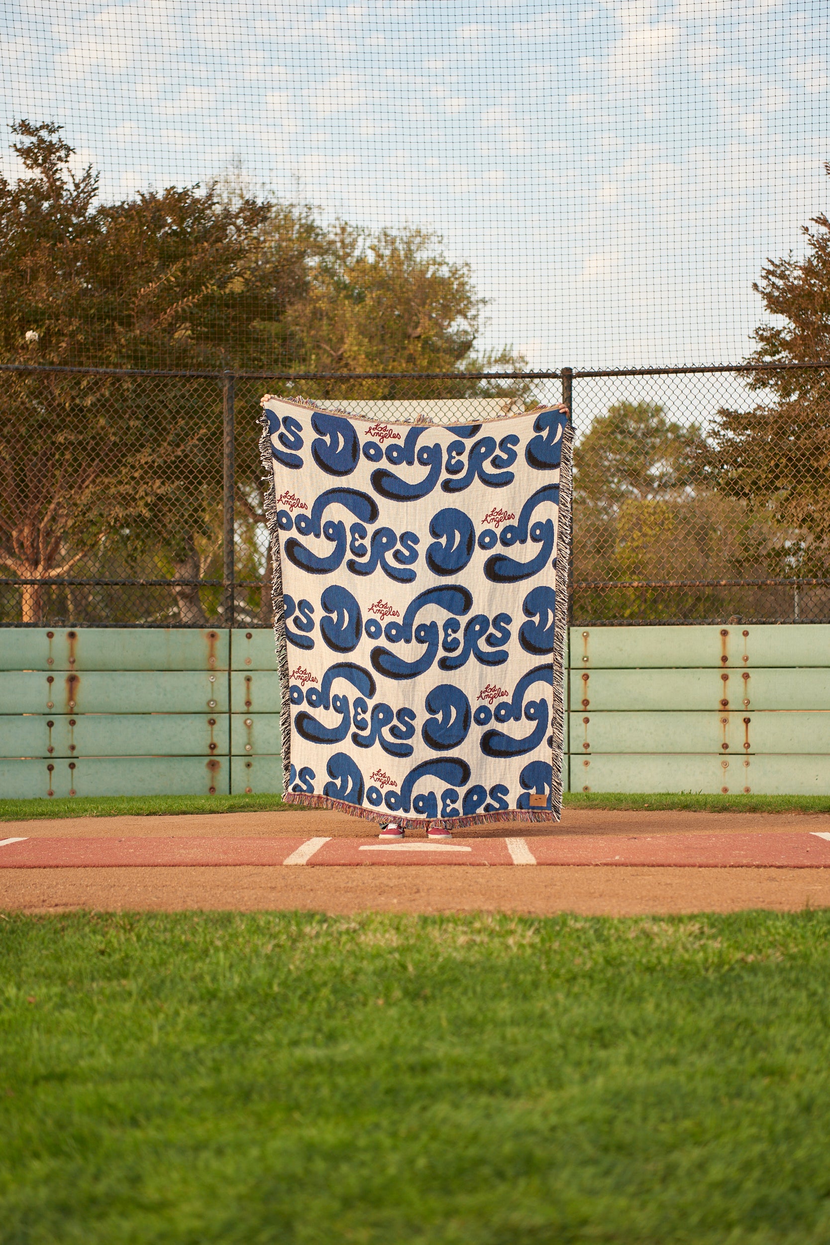 In Collaboration with the MLB