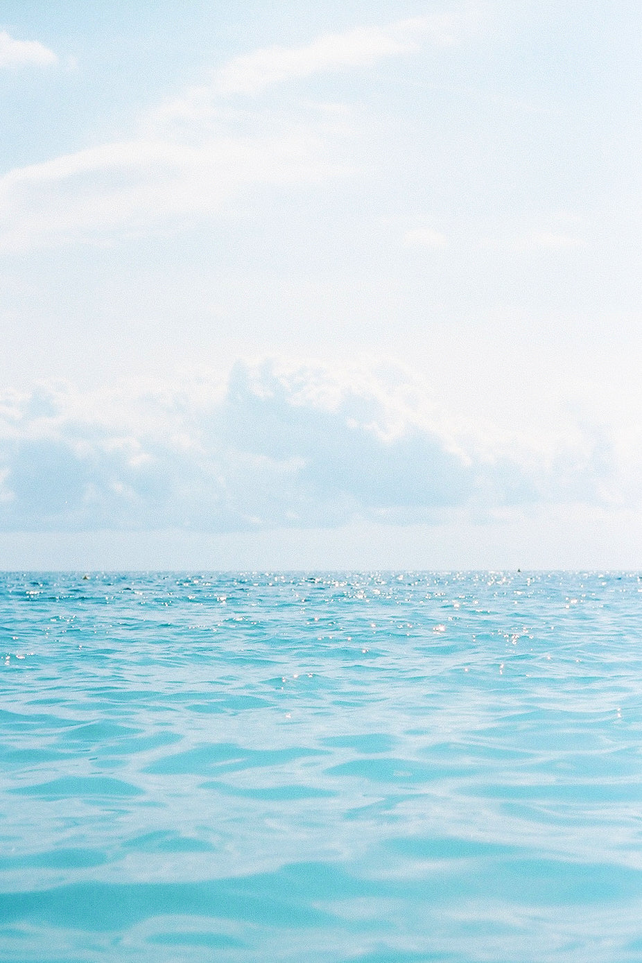 Paradise Found with Vivian Kim
