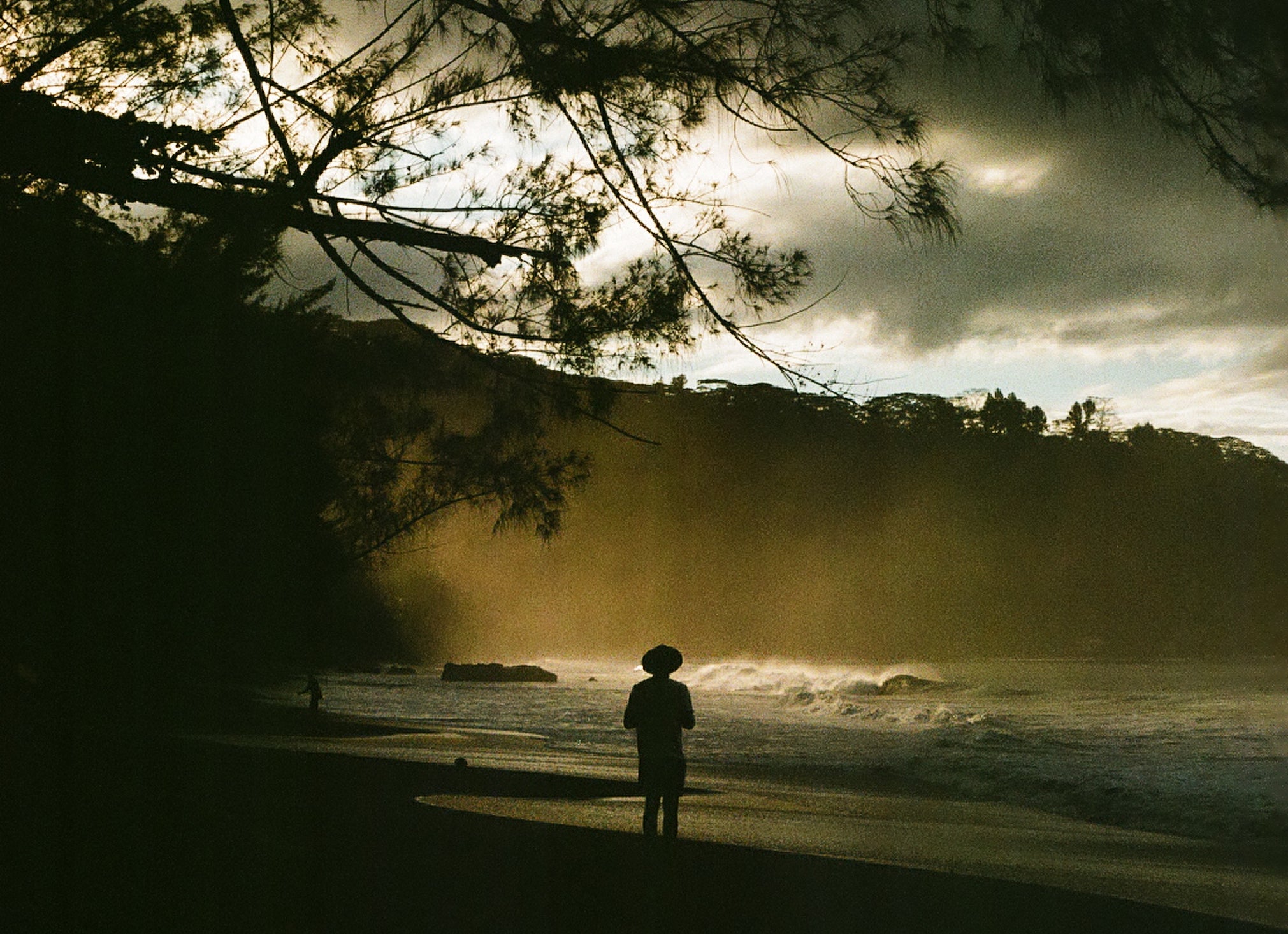 Paradise Found by Evan Schell