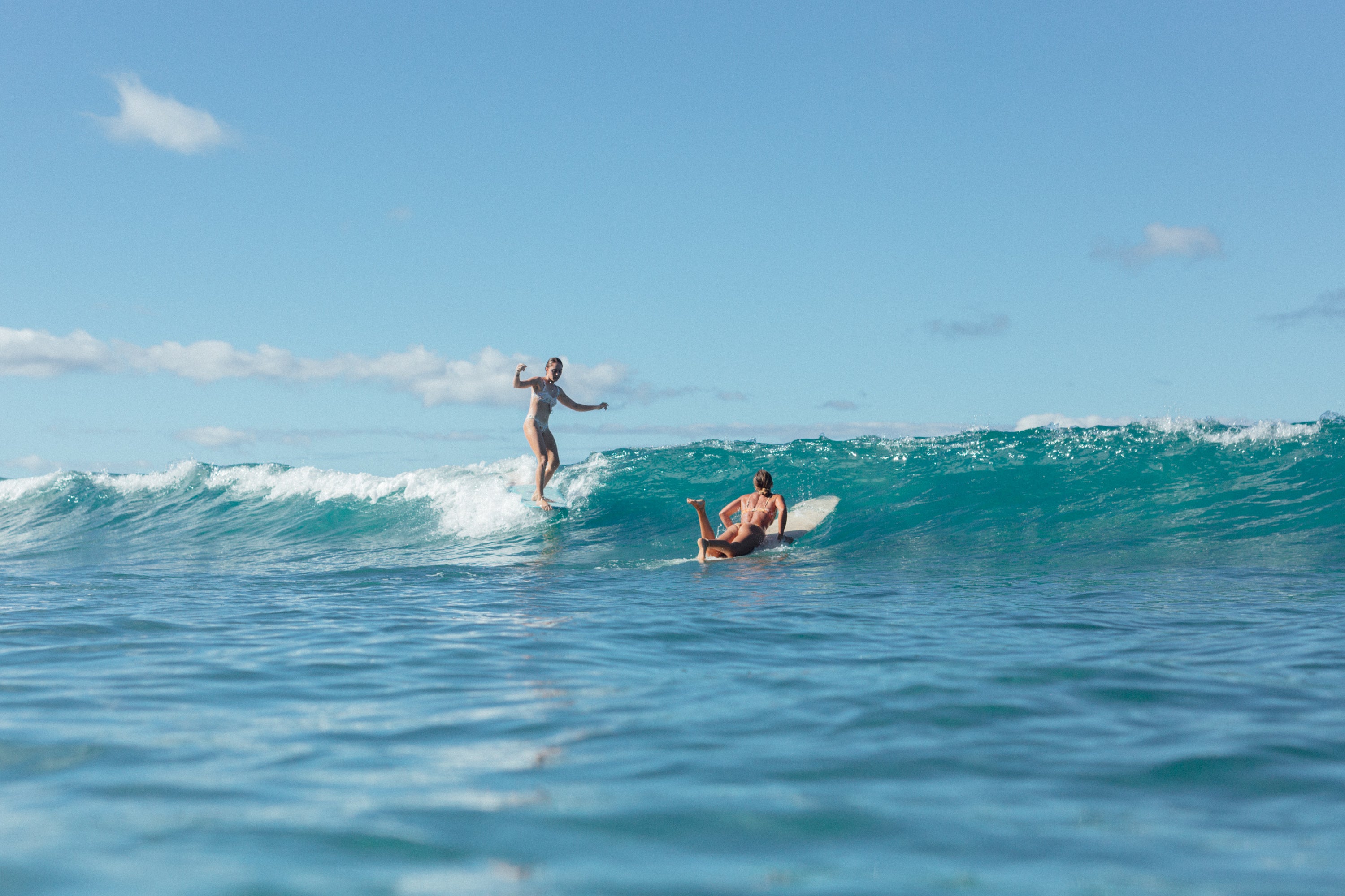 Paradise Found with Talia Pashey