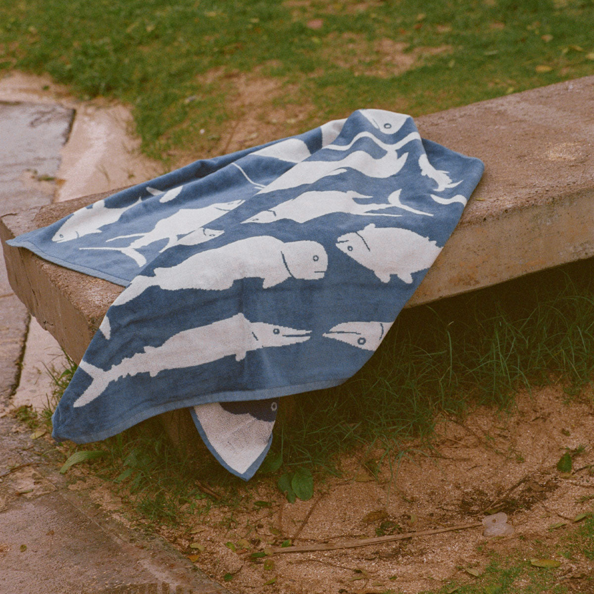 Velour towel with white cartoon sea animal print displayed outdoors on concrete bench.