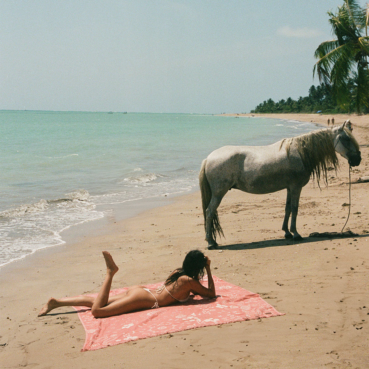 Axel Driftweave Beach Blanket