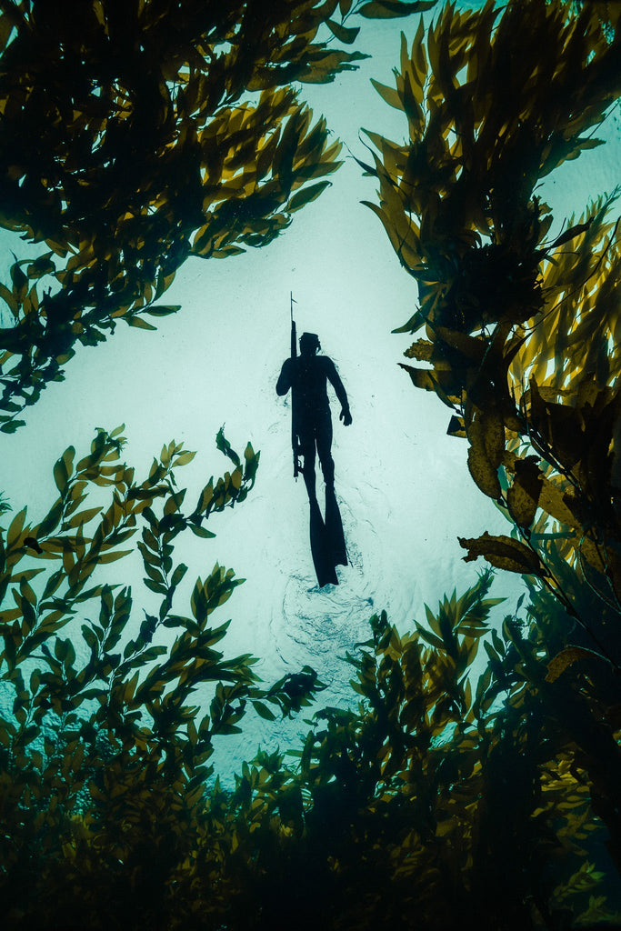 Inspired By Mike Borchard