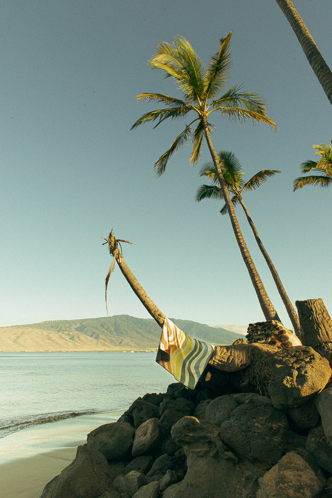 Paradise Found with Cassandra Lacroix