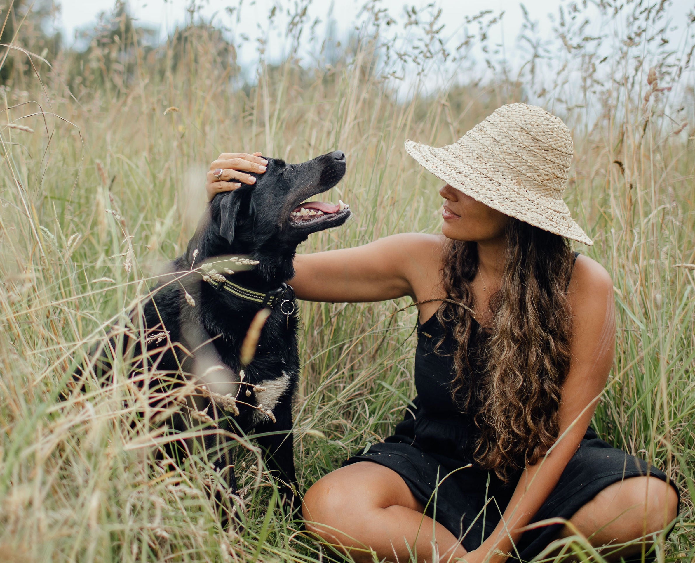 Paradise Found by Susanna Cromwell