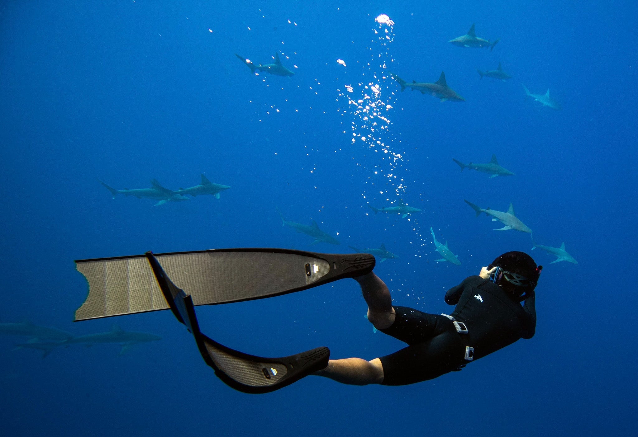 Inspired By Benjamin Ono