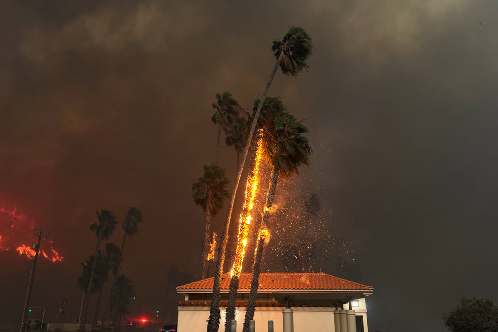 LA Fire Relief: Artist Series