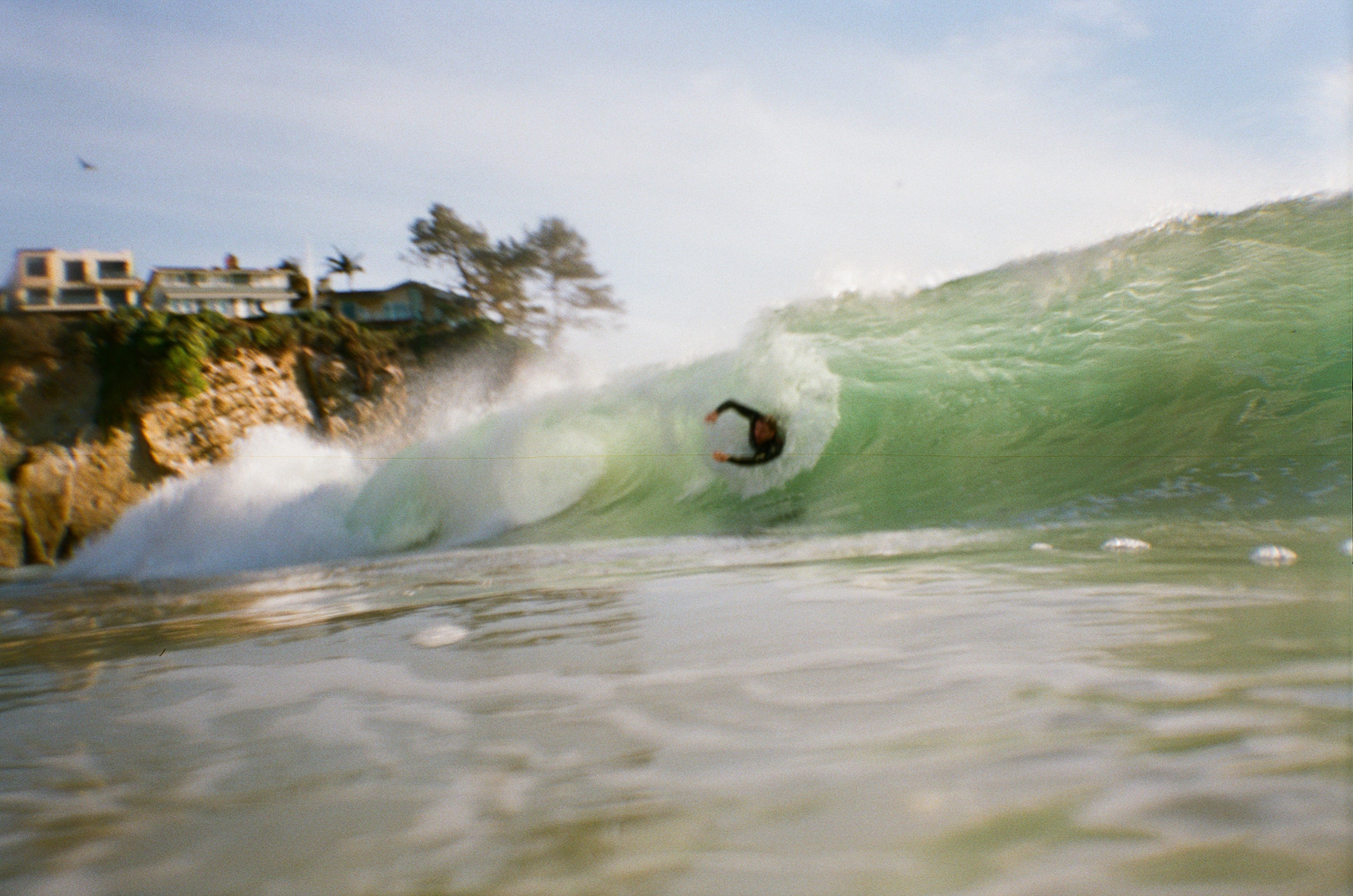 Paradise Found: Evan Schell