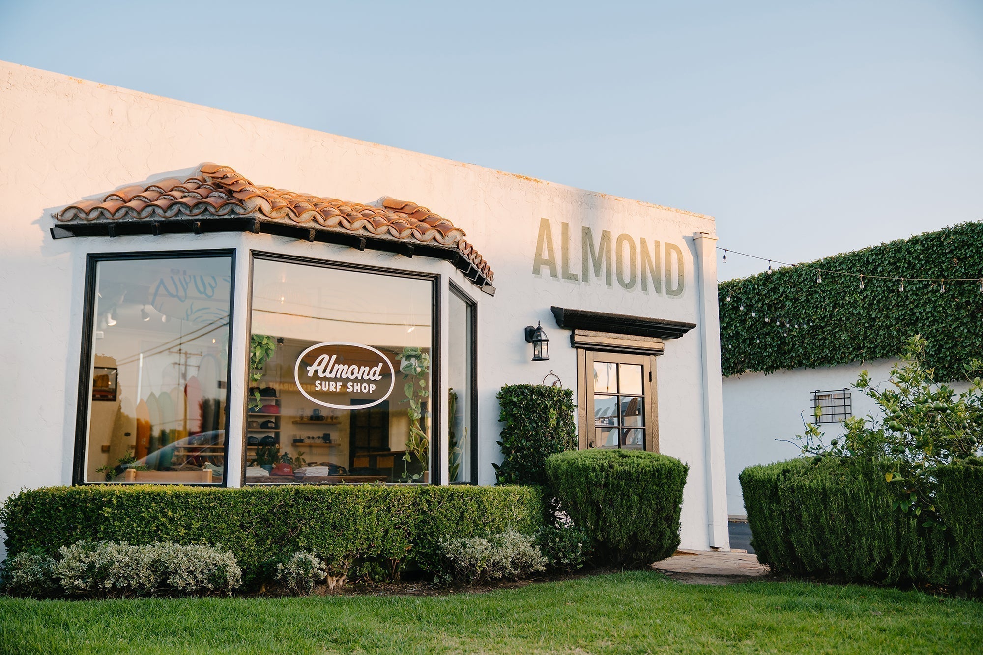 Porsche x Almond Surfboards