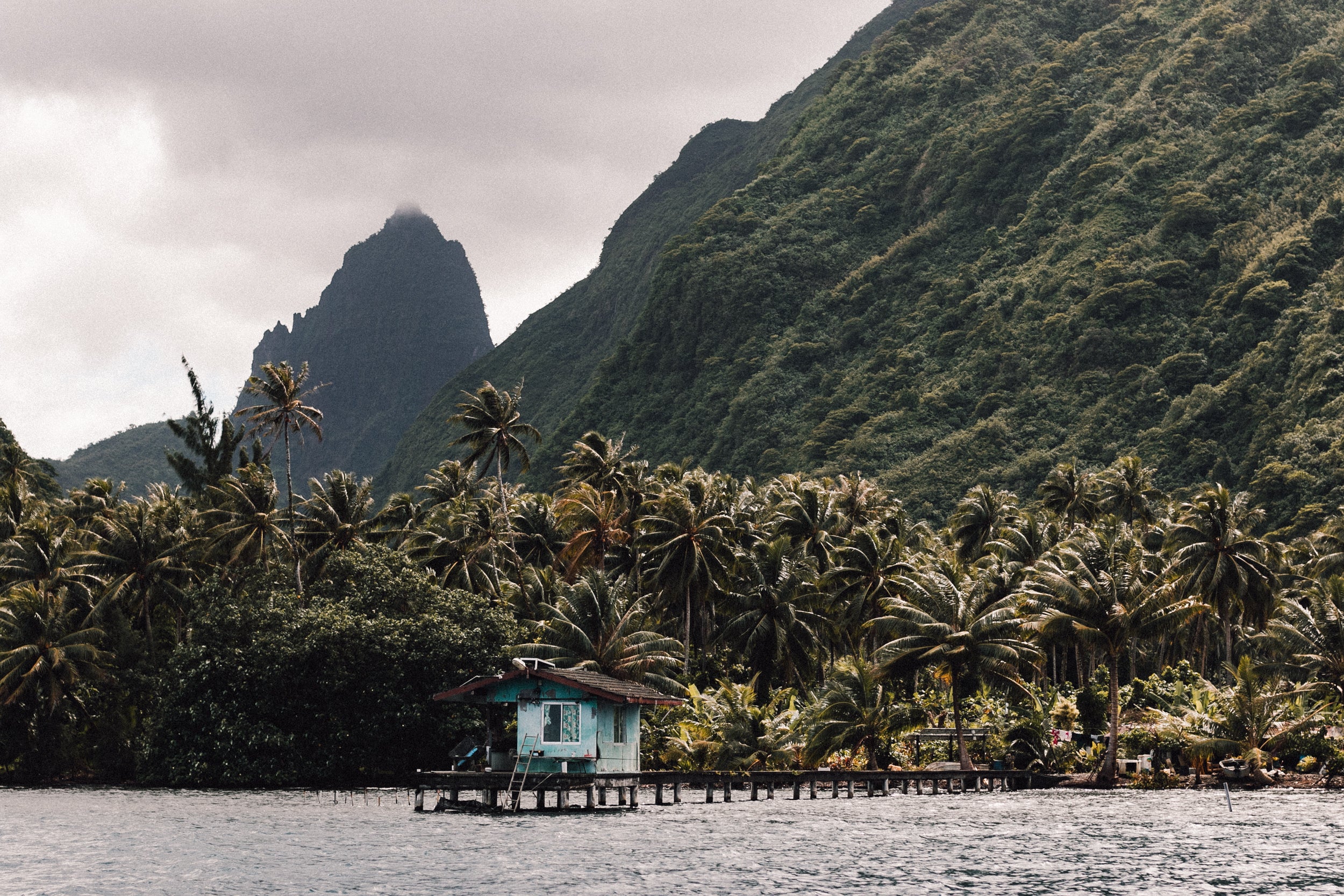 Paradise Found by Alana Spencer