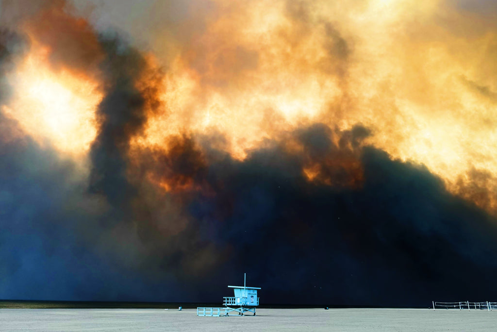 Los Angeles Fires Relief