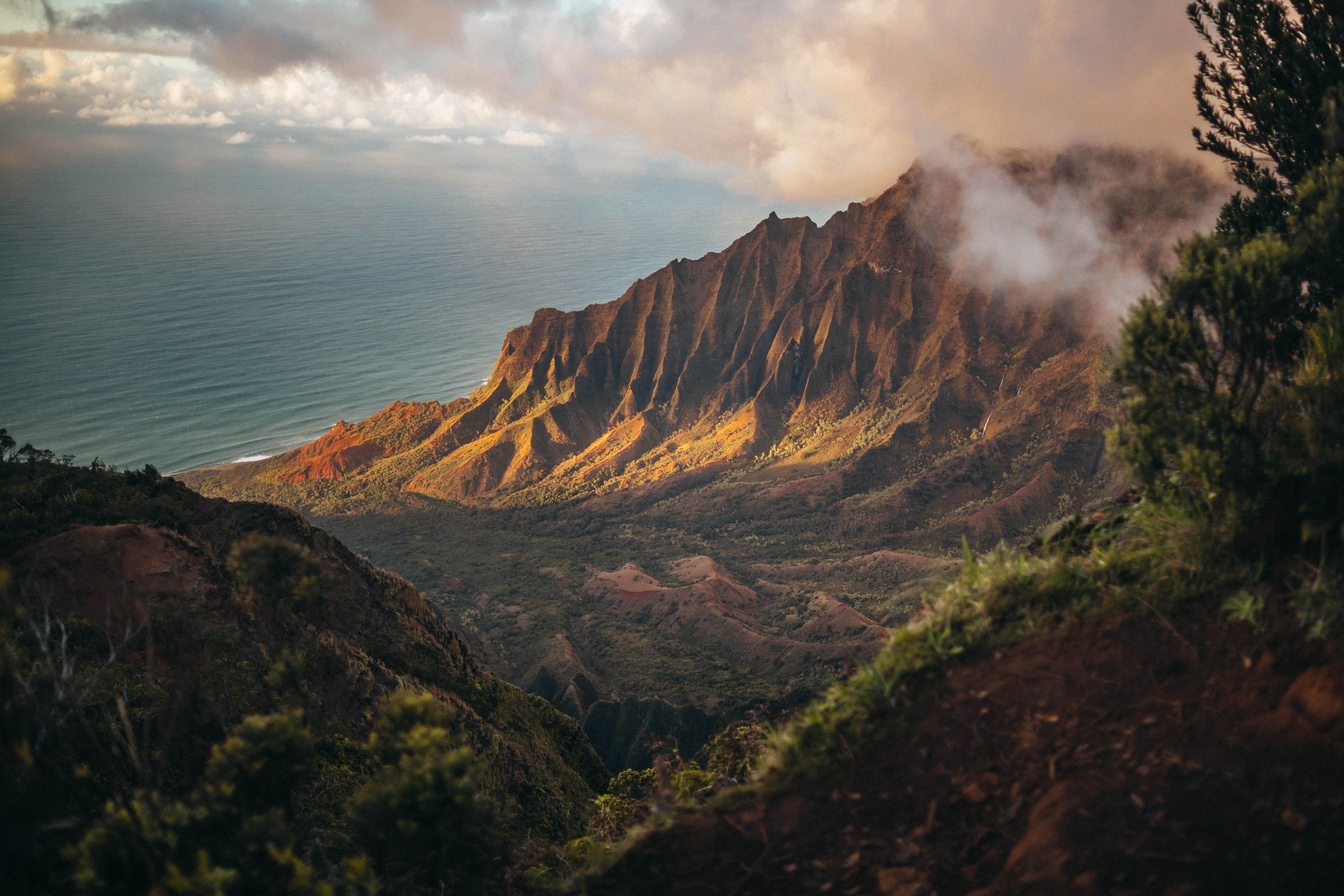 Giving Tuesday with Sustainable Coastlines Hawai'i