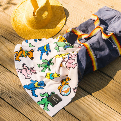 Bear Bones - Slowtide